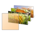 Download Autumn Color in Japan Theme for Windows 10, 8 and 7