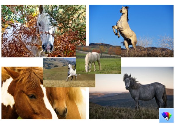 Horses theme for Windows 8