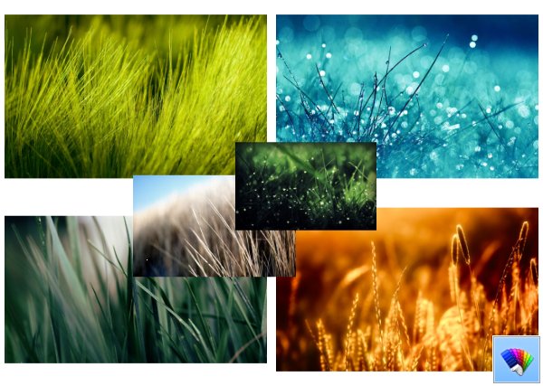 Blades of Nature theme for Windows 8