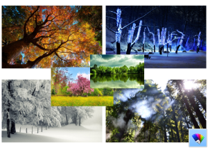 Trees theme for Windows 8