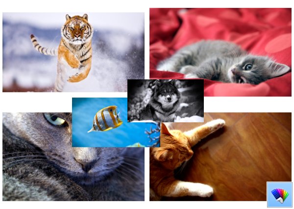 Animals theme for Windows 8