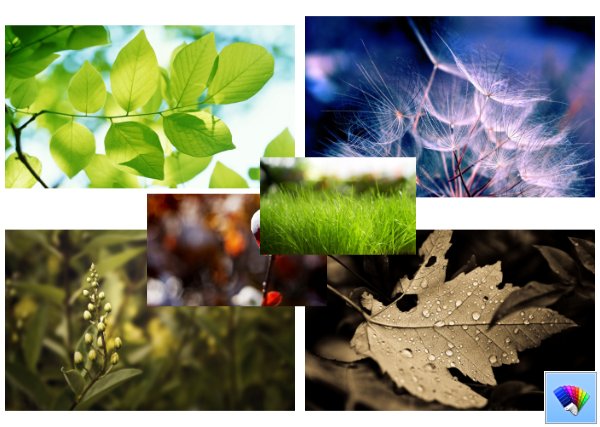 Plants theme for Windows 8