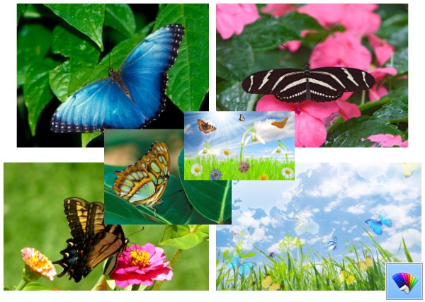 Butterflies theme for Windows 8