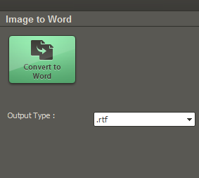 Convert to Word