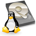 How to see the disk space usage for a file or folder using Linux terminal