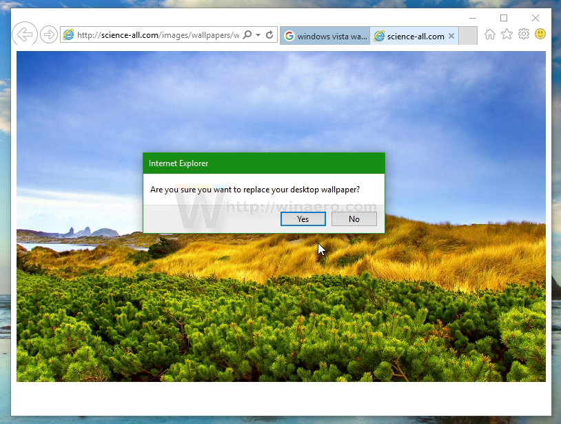 change internet explorer wallpaper