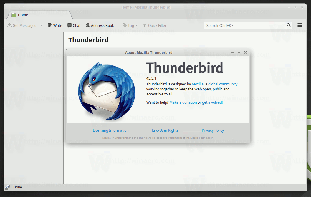Thunderbird In Mint