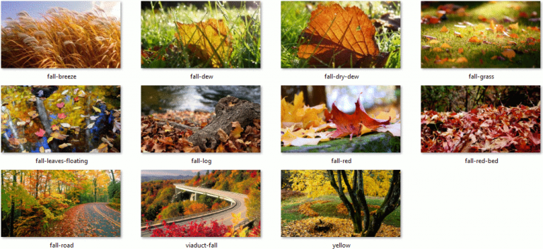 Download Autumn Leaves Theme for Windows 10, 8 and 7