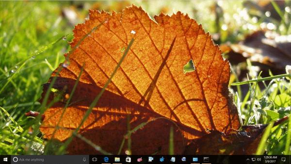 Fall Leaves Theme Windows 10 3