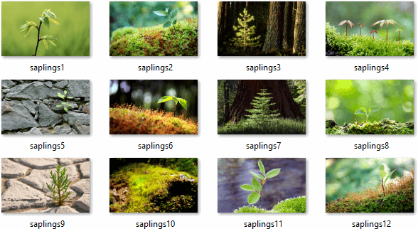 Saplings Theme Pack 01