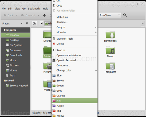 Mint Folder Icon Color Presets 