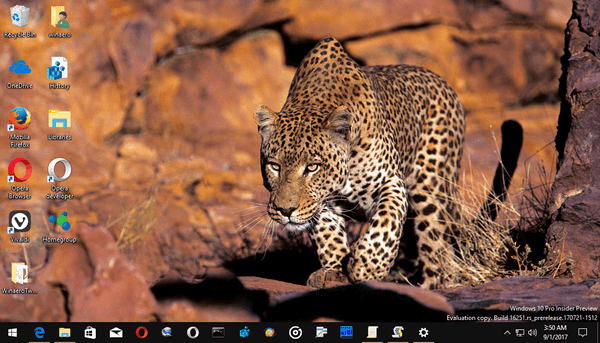 African Wildlife Wallpapers 5