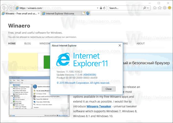 internet explorer search box