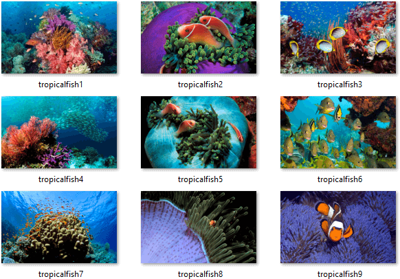 Fish Themepack Images