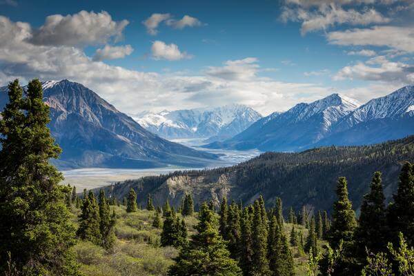 Kemsley Kluane