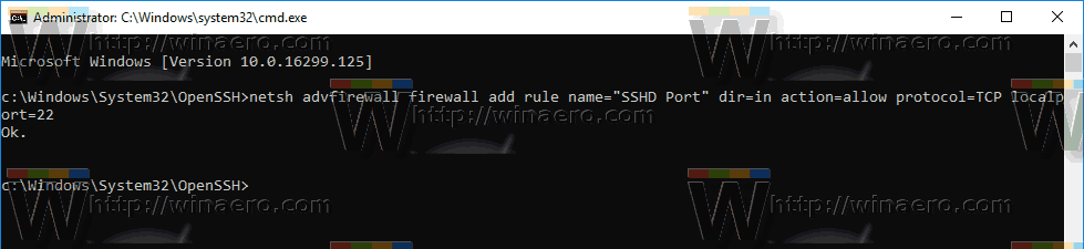 How to Enable OpenSSH Server in Windows 10
