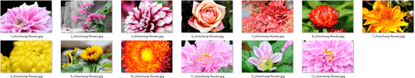 Fantastic Flowers Themepack Images