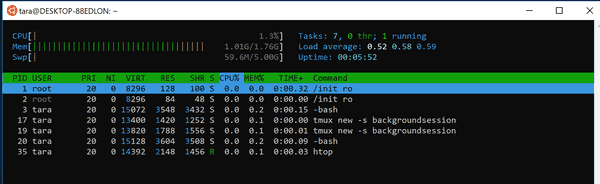 Tmux Session In Htop