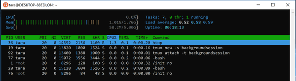 Tmux Session Reconnected