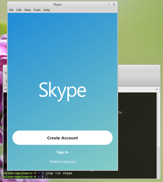 Linux Install Skype Snap Img5