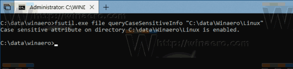 Query Case Sensitive Mode Windows 10