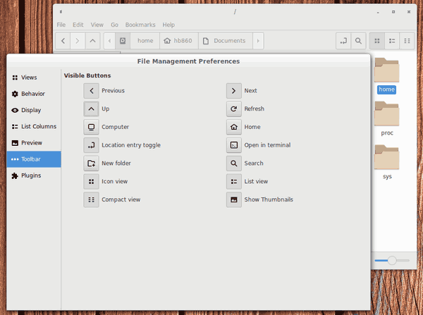 Cinnamon 4.0 Nemo Options