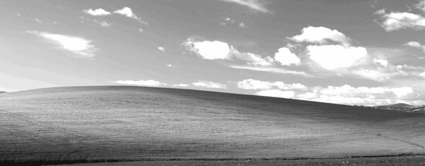 Windows XP Bliss Grayscale 