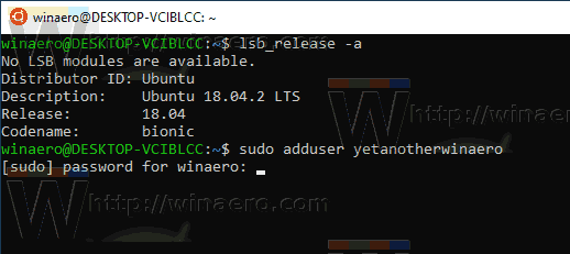 Windows 10 WSL Add User 1