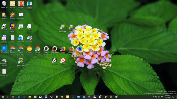 Windows 10 Indian Garden Themepack 1
