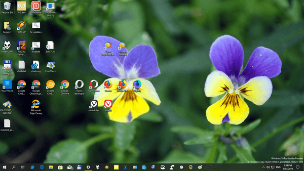 Windows 10 Indian Garden Themepack 2