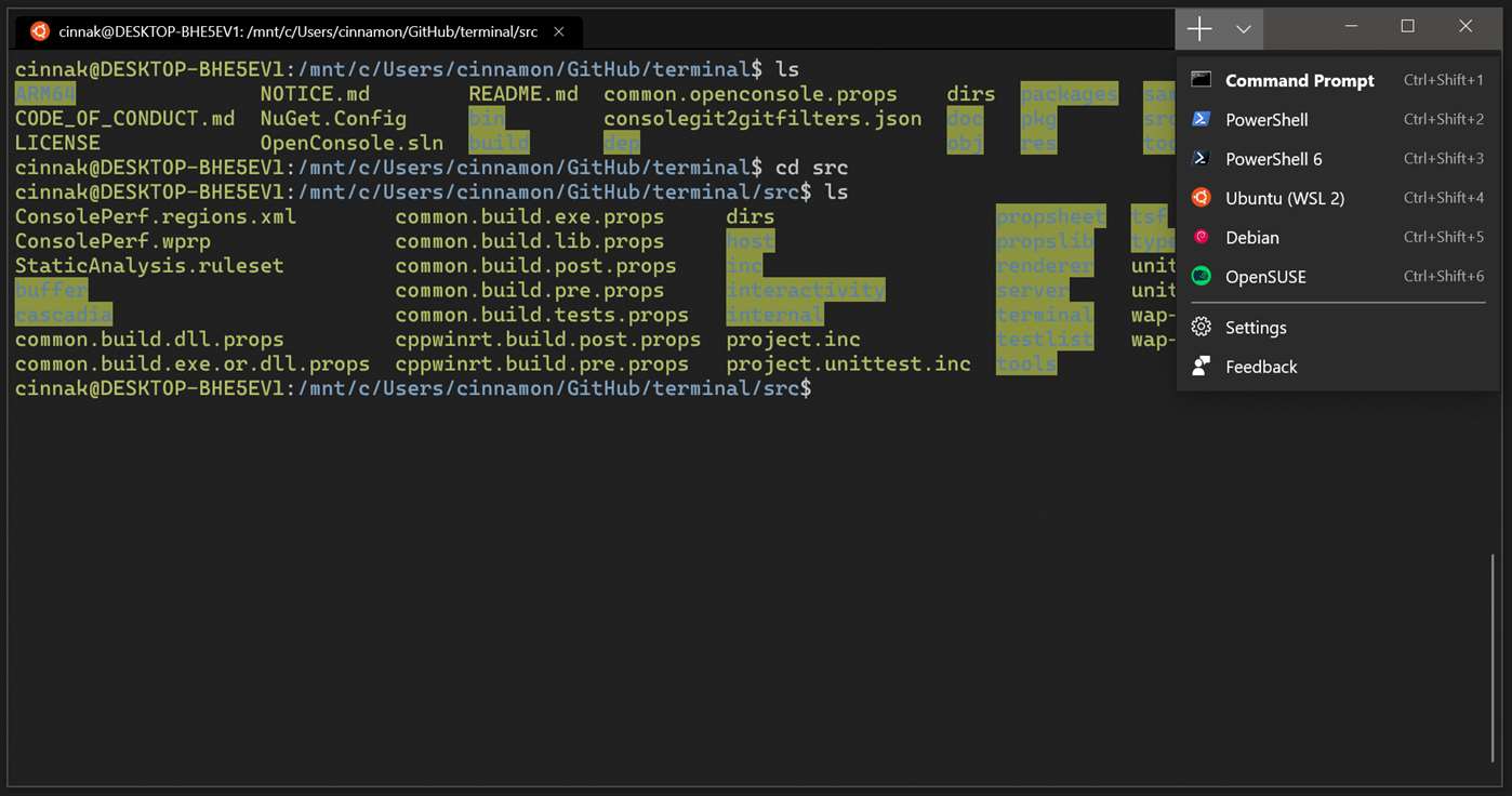 Windows Terminal Preview Screenshot 2