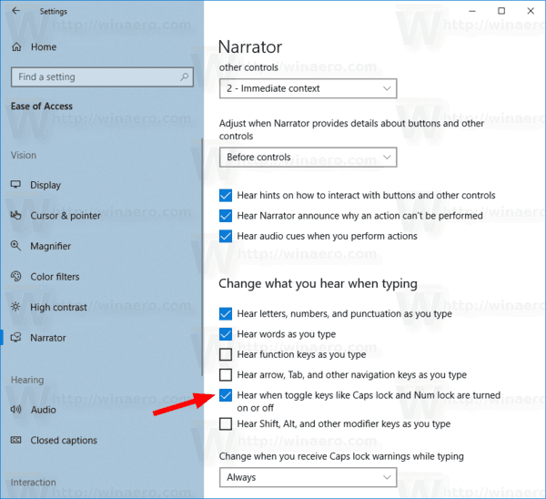 Windows 10 Narrator Disable Toggle Keys