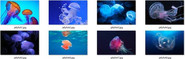 Jellyfish theme for Windows 10, 8, and 7 Jellyfish-themepack-wallpapers