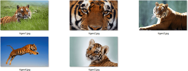 Tigers theme for Windows 10, 8, and 7 Tigers-Themepack-wallpapers