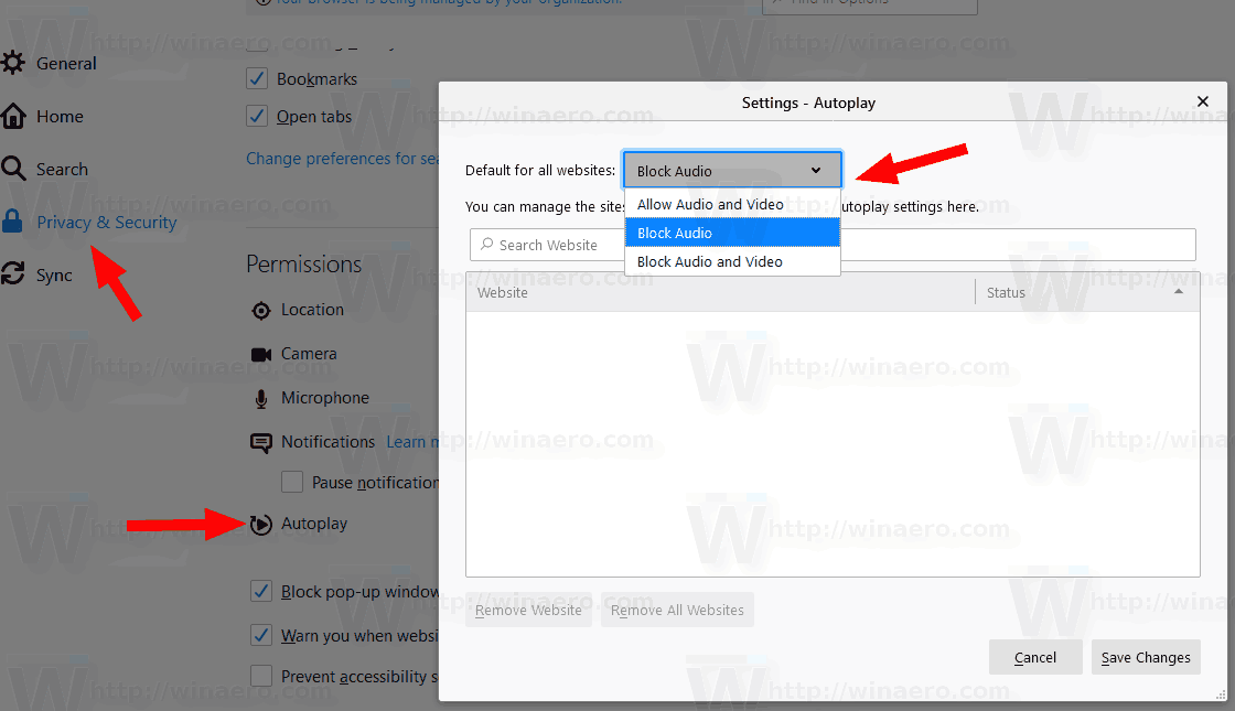 Firefox 69 Autoplay Blocking Options