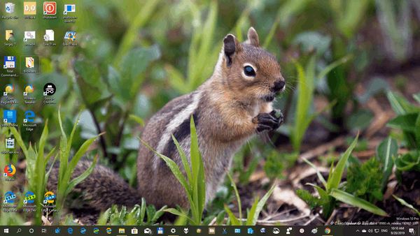 Pacific Northwest Wildlife theme for Windows 10, 8, and 7 Pacific-Northwest-Wildlife-themepack-6