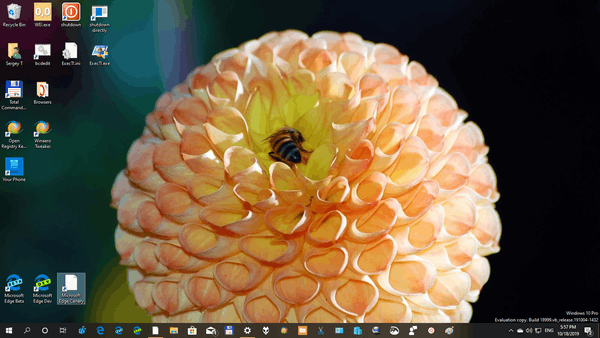 Community Showcase Insects theme for Windows 10, 8 and 7 Insects-3-themepack-image-1