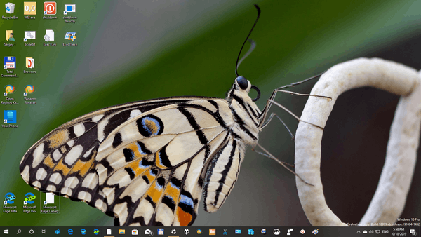 Community Showcase Insects theme for Windows 10, 8 and 7 Insects-3-themepack-image-3