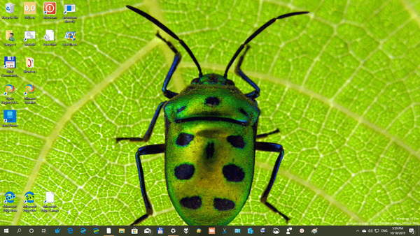 Insects 3 Themepack Image 6