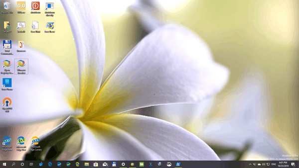 Windows 10 Flora 4 Themepack 04