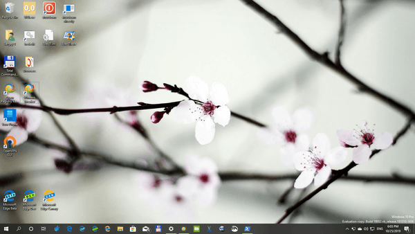 Windows 10 Flora 4 Themepack 05