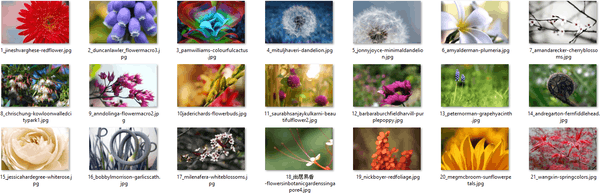 Windows-10-Flora-4-themepack-images.png