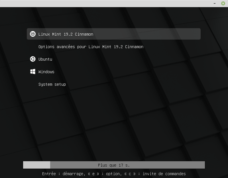 Linux Mint 19.3 Grub