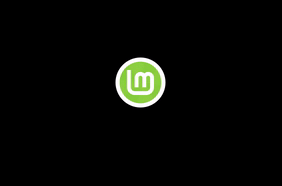 Linux Mint 19.3 Plymouth