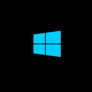 Windows 10 Boot Logo Icon Big 256