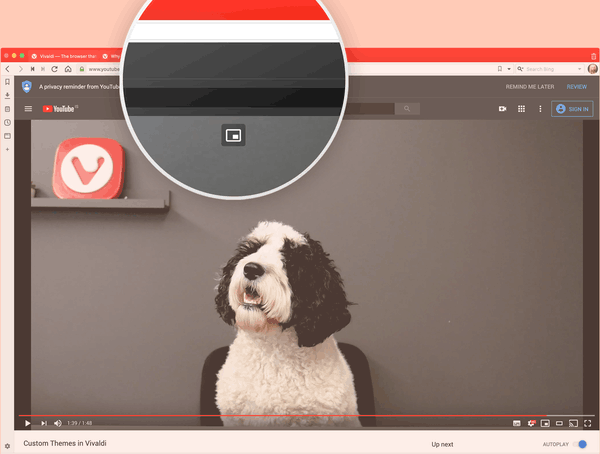 Vivaldi 2.11 PiP Screenshot Final