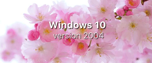 WIndows 10 Version 2004 20h1 Banner