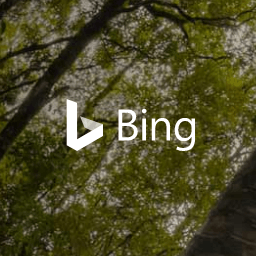 Bing Logo Icon Big 256