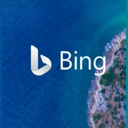 Bing New Logo Icon
