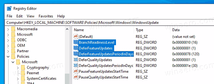 Defer Feature Updates In Windows 10 Version 2004
